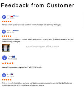 Sel Baterai LiFePO4 <span class=keywords><strong>3</strong></span>.2V 280Ah 6000-Cycle Efisiensi Tinggi Grosir untuk Penyimpanan Energi Skala Besar dan Mobilitas Listrik AUSPICIOUS - Product Image 2