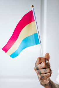 2024 nuevo producto al por mayor barato diseño personalizado tamaño 100% poliéster impreso mano ondeando Arco Iris Lgbt Gay Pride bandera - Product Image 3