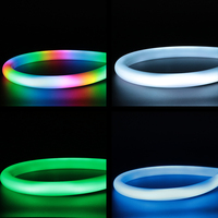 Rond noir 360 °   Bande néon à diodes électroluminescentes, étanche IP67, flexible et pliable, éclairage paysager décoratif néon