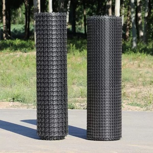 Độ bền kéo cao chống ăn mòn lý tưởng cho đường vỉa hè/Giữ Chân tường nặng geogrid - Product Image 2