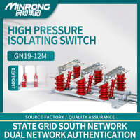 Sectionneur AC haute tension intérieur GN19-12 12 kV, isolateur tripolaire pour appareillage de distribution électrique