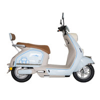 High Performance Long Range Battery 1000W Brushless Motor Electric Scooter Motorcycle 130mm Ground Clearance for City Roads