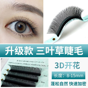 Extensiones de Pestañas 3D Clover de Lakanaku, 0.05mm, Longitud Mixta, Calidad Profesional - Product Image 4