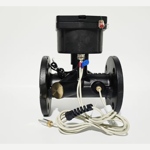 NEWJIELI デジタル超音波水流量計 DN50 RS485/遠隔読み取り/ワイヤレス大口径フランジ デュアルチャンネル OEM 鋳鉄製 - Product Image 2