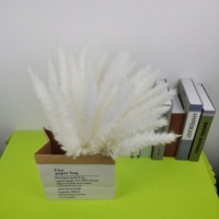 30 Tiges Blanc Séché Pampas Herbe Boho Vintage Mariage & Noël Décor Home Decor Cadeau Présent