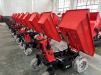KNDMAX ED500H Mini Dumper Elettrico Idraulico Ribaltabile 500kg con Batteria al Piombo-Acido