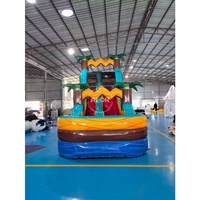 Château gonflable géant en PVC pour jeux d'extérieur, toboggan aquatique commercial gonflable avec piscine et fosse à balles – Vente chaude