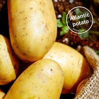 Meilleures ventes de JIUR de collations décontractées croustillantes et savoureuses de pommes de terre crues fraîchement coupées, miel, beurre, concombre, frites de pommes de terre