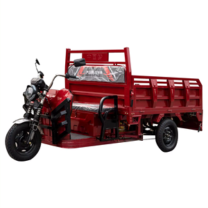 Triciclo Eléctrico Yijin 2024, Vehículo de Tres Ruedas Económico con Motor de 1500w, Modelo T2 - Product Image 1