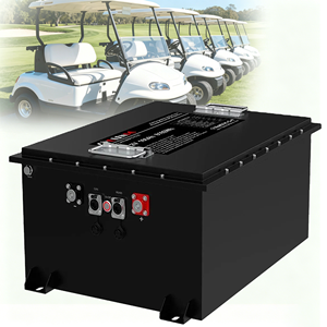 48V 160Ah 골프 카트 배터리 관광용 차량 LSV (저속 차량 클럽 카) 6000 사이클 리튬인산철 배터리(충전기 포함) - Product Image 1