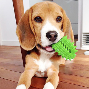 Jouet pour chien en forme de cactus, bâton à mâcher, brosse à dents, jouet à mâcher pour chien - Product Image 3