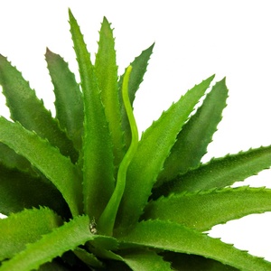 Planta Suculenta Artificial con Decoración de Hoja de Piña <span class=keywords><strong>para</strong></span> Uso en Interiores y Exteriores, Decoración de Jardinería, <span class=keywords><strong>Plantas</strong></span> Suculentas <span class=keywords><strong>Artificiales</strong></span> - Product Image 6