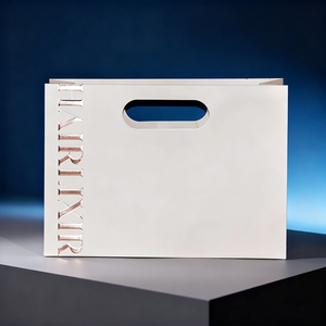 Sacchetti Regalo in Carta Personalizzati di Lusso, Ecologici, Biodegradabili, con Manici Fustellati, Riutilizzabili per Negozi al Dettaglio e il Tuo Artigianato - Product Image 1