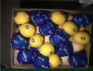 Bán buôn tươi Eureka chanh từ tự nhiên phát triển Trung Quốc, chất lượng cao và thấp-giá trái cây hữu cơ - Product Image 4