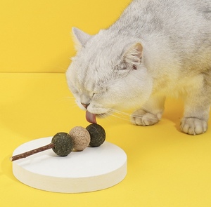 Luxury Pet Toys Various Cute Styles Interactive Chew Stick Toy for <strong>Cats</strong> Teething Stick With <strong>Catnip</strong> Cute <strong>Funny</strong> Interactive Toy - Product Image 5