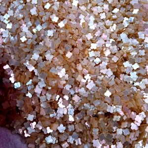 Piedra de Trébol Natural Suelta, Concha Blanca, Ágata Roja, Negra y Verde, Ojo de Tigre, Piedra de Trébol de Cuatro Hojas para la Fabricación de Joyas - Product Image 4