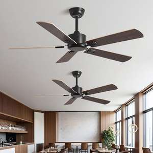 制造商简约时尚复古不锈钢吊扇DC纯铜电机吊扇 - Product Image 2