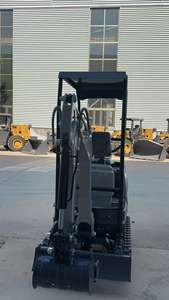 Little Rascal di Qualità: 1 Tonnellata Robusto e Affidabile, Motore Koop Power, 1 Anno di Garanzia per un Funzionamento Senza Preoccupazioni - Product Image 2