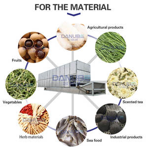 Máquina de Alta Productividad para Cortar y Secar Konjac, Secador de Banda de Malla, Equipo Deshidratador de Konjac - Product Image 5