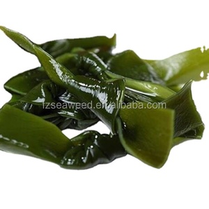 Venta al por mayor de algas secas <span class=keywords><strong>Gelidium</strong></span> algas secas kelp kont - Product Image 2