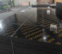 Coffrage en béton noir moderne E1 de première qualité, filmé, 4x8 pieds |   Plaques de coffrage pour la construction extérieure