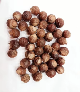 Poudre de fruits Ritha vendue dans le monde entier pour des cheveux lisses et soyeux, poudre biologique Aritha, vente directe des fournisseurs indiens - Product Image 3