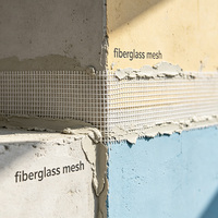 Rete in Fibra di Vetro Autoadesiva 45gsm 60gm 80gsm 100gsm per Blocchi di Calcestruzzo, Piastrelle, Resistente agli Alcali, per EIFS e Stucco