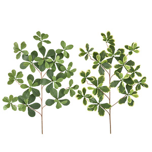 Hojas <span class=keywords><strong>de</strong></span> Árbol <span class=keywords><strong>de</strong></span> <span class=keywords><strong>Almendro</strong></span> Artificial <span class=keywords><strong>de</strong></span> Madagascar, <span class=keywords><strong>de</strong></span> Plástico Ecológico, Altamente Realistas, para Decoración Navideña y <span class=keywords><strong>de</strong></span> Año Nuevo, Accesorios <span class=keywords><strong>de</strong></span> Fábrica - Product Image 5