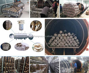 Nuovo Sterilizzatore <span class=keywords><strong>Autoclave</strong></span> Orizzontale per Funghi da <span class=keywords><strong>300L</strong></span> con Riscaldamento Elettrico e Alta Efficienza - Product Image 2