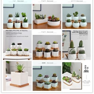 Vente directe d'usine Napin, <span class=keywords><strong>pot</strong></span> de fleurs de bureau moderne en porcelaine blanche émaillée respirante de marque JADE, capacité de 1 à 2 L, transfrontalier - Product Image 3