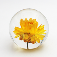 Offre Spéciale plantes boule de résine cristal cadeaux de noël ensemble idée insectes résine époxy vraie fleur artisanat