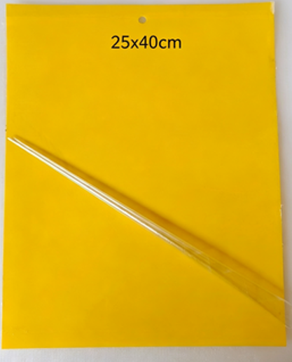 25CM*40CM
