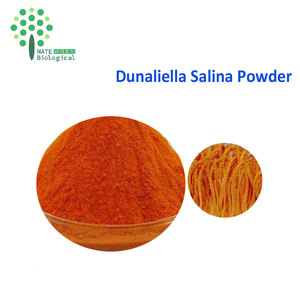 Polvo de Betacaroteno Natural Dunaliella Salina, Extracto Herbal, Especificación del 6%, Empaquetado en Tambor - Product Image 3
