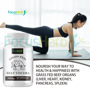 FocusHerb Complexe de Viscères de Bœuf Nourri à l'Herbe en Capsules – Suppléments pour Adultes – Mélange de Capsules - Product Image 4