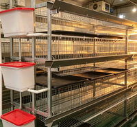 Cage à poules pondeuses galvanisée de type H à 4 niveaux, 4 portes, en treillis métallique durable