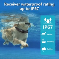 Collier de dressage électrique rechargeable pour chien, télécommande vibrante, contrôle par choc, portée 1000 mètres, plastique, étanche IP67, autonomie 6 mois
