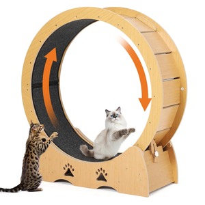 無垢材製猫用エクササイズホイール、静音室内フィットネストレッドミル（猫と子猫用）、取り外し可能なカーペットで簡単清掃 - Product Image 1