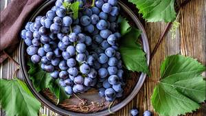 Tinh khiết tự nhiên hữu cơ chiết xuất hạt nho bột OPC anthocyanin 95% chiết xuất hạt nho - Product Image 5