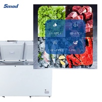 Congélateur horizontal commercial à deux portes de grande capacité de 1000 litres