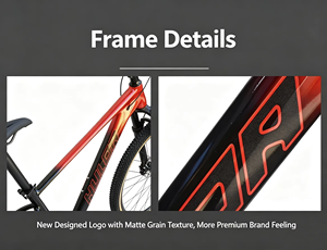 Bicicleta de Montaña Rígida FLM WARRIOR-1 de 29 Pulgadas con Eje Pasante, Cuadro de Aluminio, 1x12 Velocidades, Horquilla de Aire, Freno de Disco Hidráulico, MTB para XC y Trail - Product Image 3