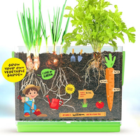 Le kit de potager moderne pour enfants Dan & Darci comprend des autocollants de disques de sol-Cadeau éducatif pour les 6 ans et plus
