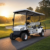 Carrito de Golf Eléctrico de 6 Pasajeros con Batería de Litio de 72V y Motor Asíncrono de CA de 3.5kW, Gran Venta