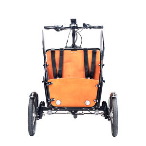 Bafang-Tricycles électriques à moteur central de 250 watts, vélo cargo électrique à <span class=keywords><strong>3</strong></span> <span class=keywords><strong>roues</strong></span> pour la famille - Product Image 3