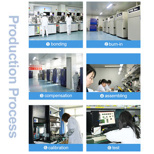 Cina Huatian CYBT1441 Autoclave trasmettitori di pressione di temperatura sensori di pressione con sonda di temperatura esposta per Gas - Product Image 6