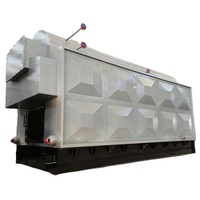 Chaudière à vapeur industrielle à grille horizontale fixe pour biomasse, machine à briquettes, chaudière à bois DZH