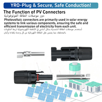 YRO PV-Anschluss Wasserdicht IP68 Premium 1000V DC Stecker Buchse für Solar Power System Tool Unschlagbarer Online-Preis auf Lager