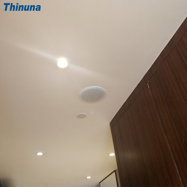 CS-205A Cheap PA 6.5 Inch Full Range Invisible Speaker Inside Walls Low Profile Surface Install Unseen In Ceiling Loudspeaker · image 5