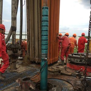 Bomba de Riego Personalizada, Bomba de Agua Eléctrica Sumergible Vertical Multietapa QJ para Pozos Profundos - Product Image 6