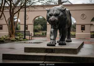 Estatua de tigre de bronce fundido, tamaño real, venta directa de fábrica - Product Image 2