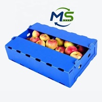 Boîte de transport creuse en PP écologique pour l'emballage de riz, graines, aliments, raisins, choux, fruits de mer et produits frais, recyclable, taille personnalisée